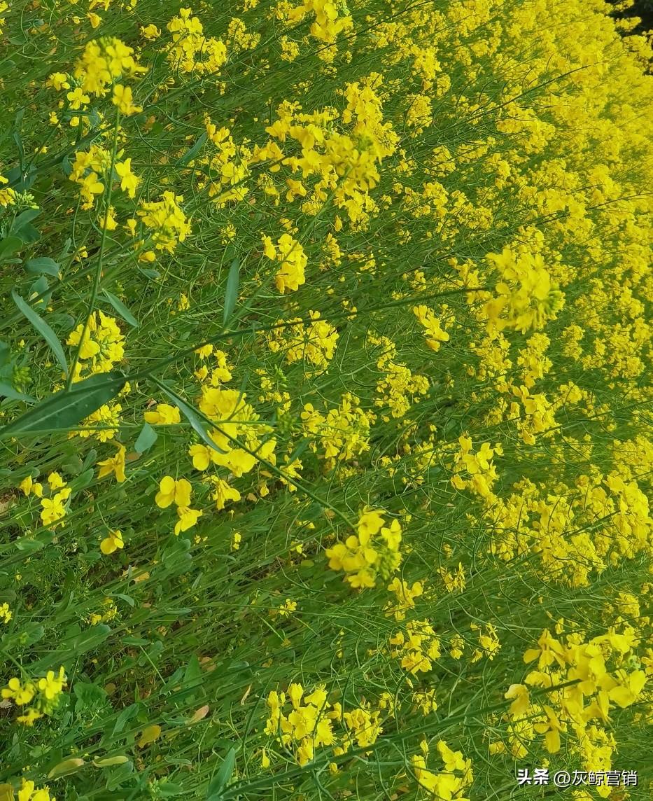 好好地爱自己吧！
活着的时候，一切都存在。房子是你的，包包是你的，衣服是你的……