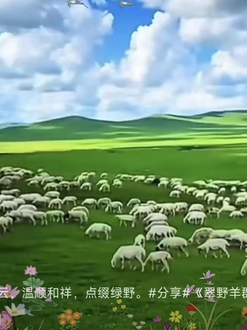翠野羊群
碧宇苍穹云似山，
平芜翠色望无边。
羊群遍野肥还壮，
喜庆丰年笑语欢。