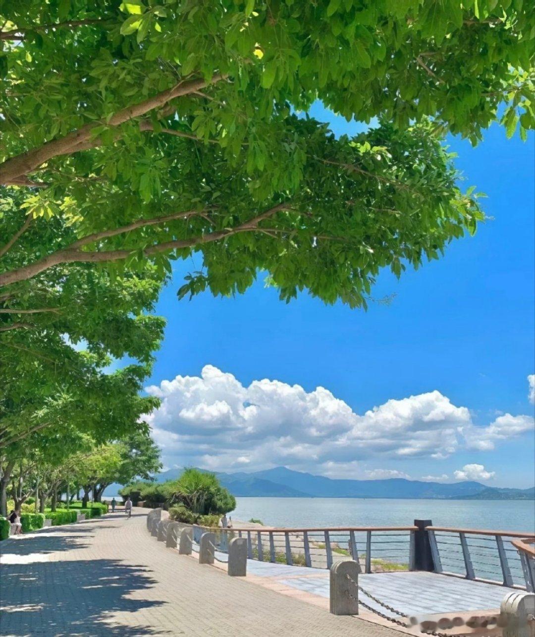 每日一善 每日一善 时代在召唤我们这一代青年人，用辛勤的汗水汇聚成源源不竭的洪流