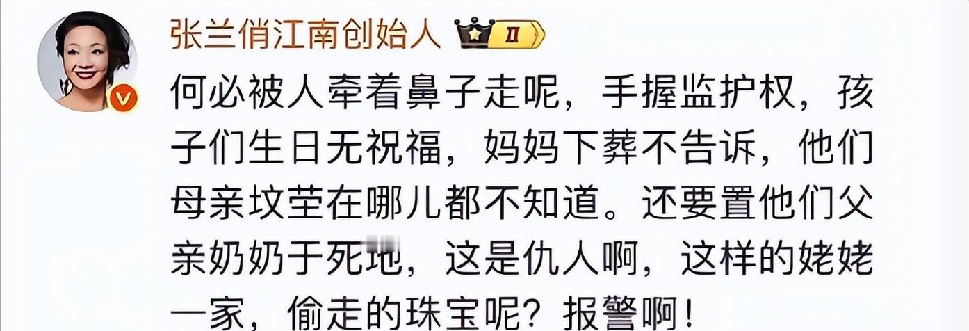 张兰力怼家，揭示其虚伪关心孩子的面目。家漠视孩子的生日祝福、隐瞒孩子妈妈下葬之事