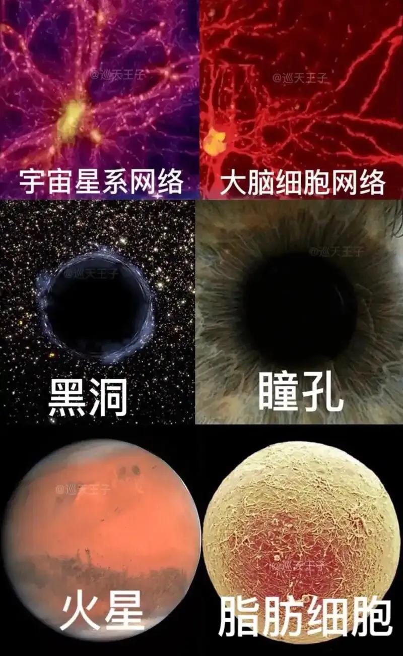 我大胆猜测一下，“天外有天，人外有人”讲的就是宇宙的真相，我们所在的宇宙就是一个