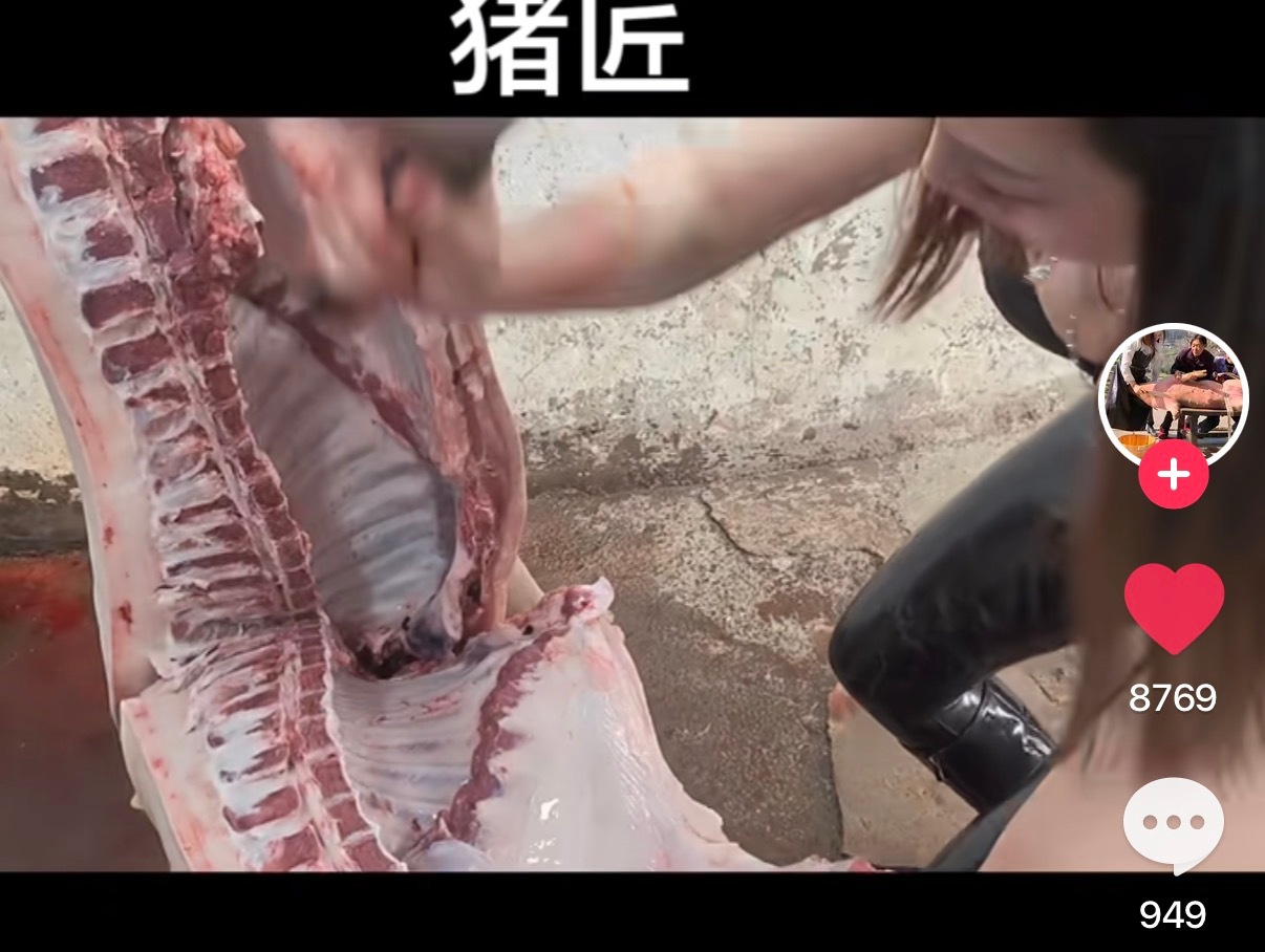 痘印刷到穿紧身黑皮衣+红色高跟鞋女性农村杀猪的视频，好内个哦更有美女庖丁解猪视频