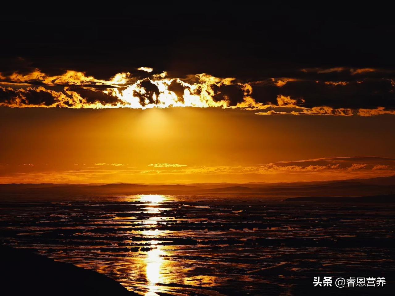 别总怪孩子走神忘事！吃不对，大脑再聪明也转不动
 
不少家长都有同款烦恼：孩子上