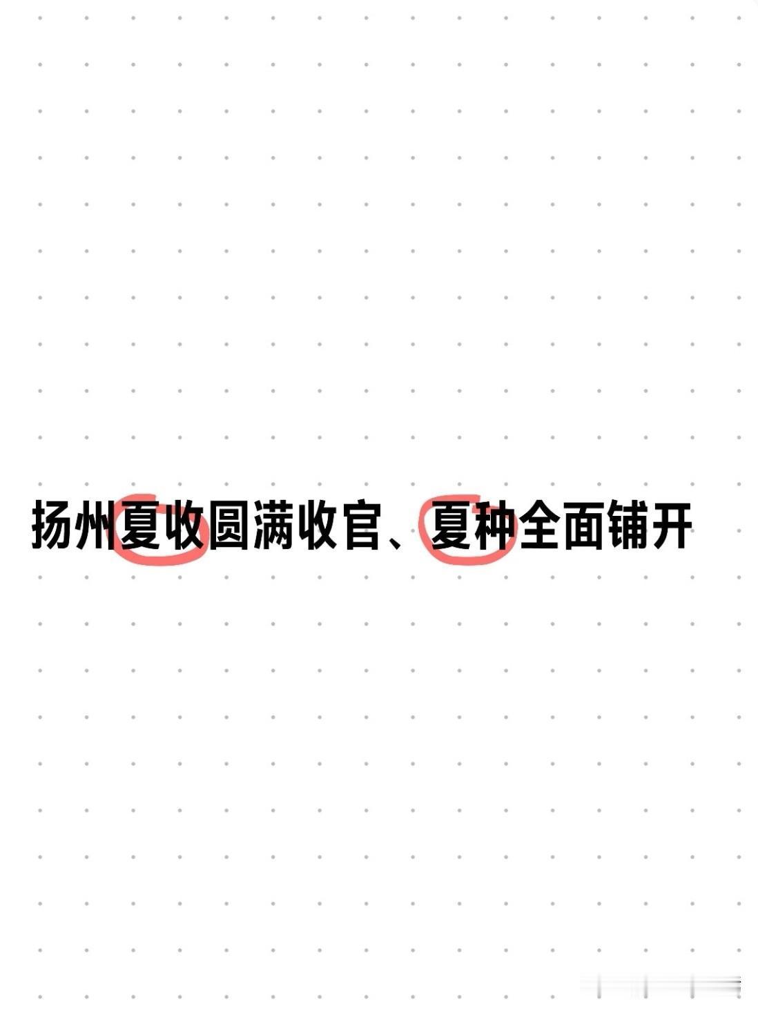 近日，扬州大地夏收工作基本落幕，267.9万亩小麦颗粒归仓，丰收答卷亮眼；与此同
