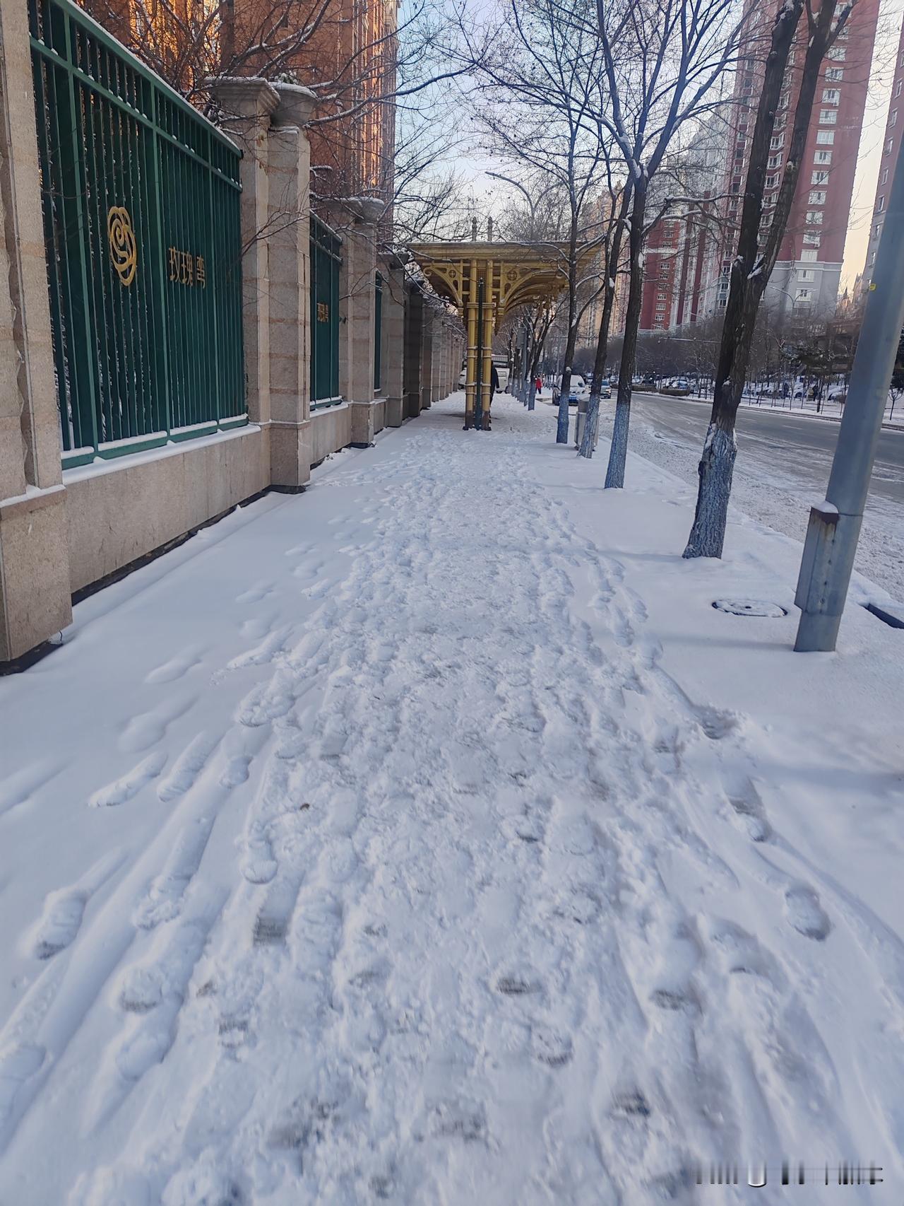 家人们快看这片雪！踩上去“咯吱咯吱”响，脚感跟踩棉花似的——但别高兴太早，这雪底