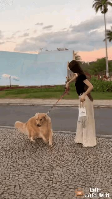 黑衣女溜狗，狗拉了一大坨屎，黑衣女是文明之人，赶紧收拾狗屎，将其放纸袋中。
没有