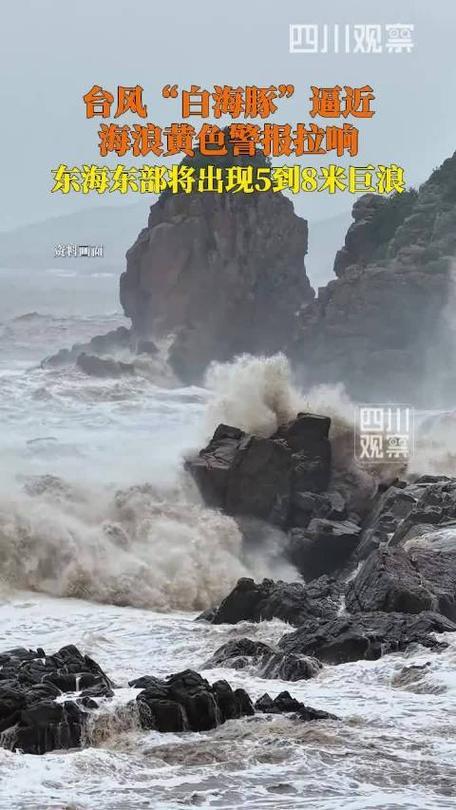 今年第13号台风“白海豚”，在江浙沪地区搅了个天翻地覆。根据中央气象台的数据，它