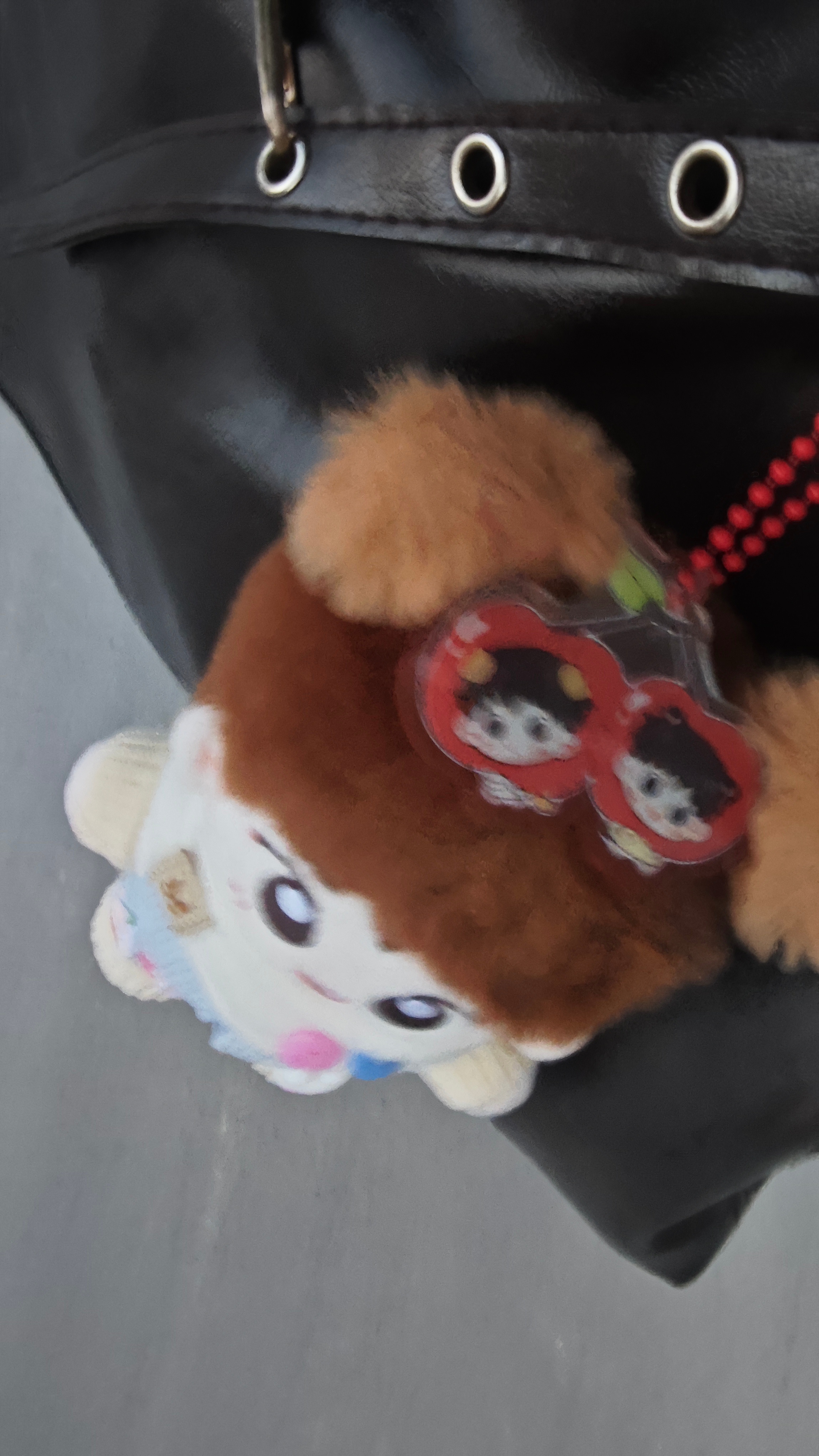 我的哼哼就这样陪我辗转教室图书馆实验室自习室😅 