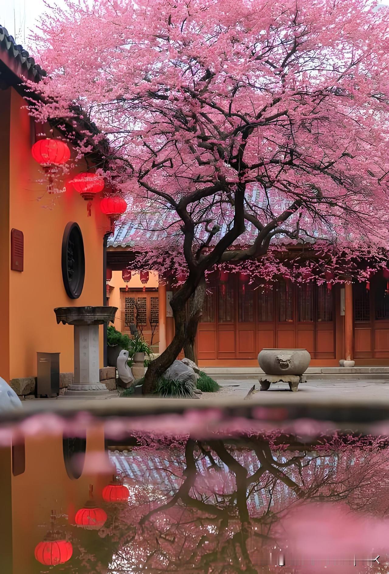 《大林寺桃花》
——唐·白居易
人间四月芳菲尽，
山寺桃花始盛开。
长恨春归无觅