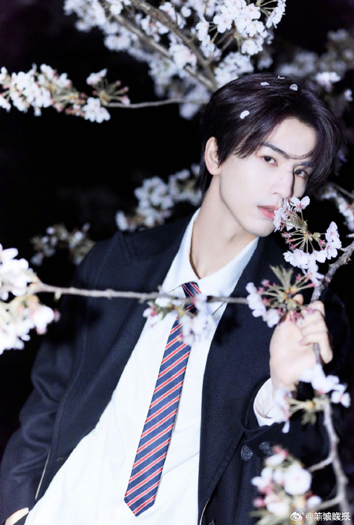 【樱花树下邂逅心动瞬间】粉樱漫落，一抬眼，便撞进满心欢喜。明星和樱花的合照，每一