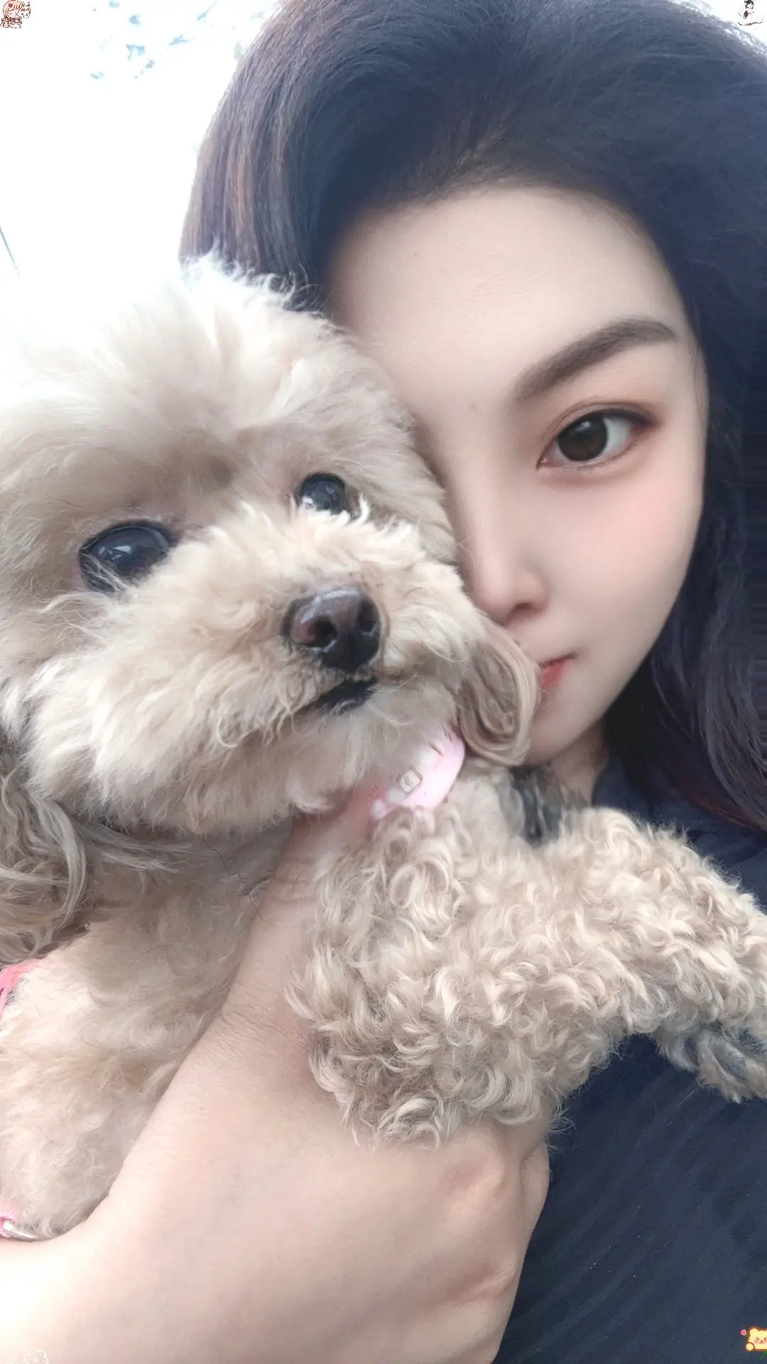 “属于自己的风景 从来不曾错过，不属于自己的风景 永远只是路过.”