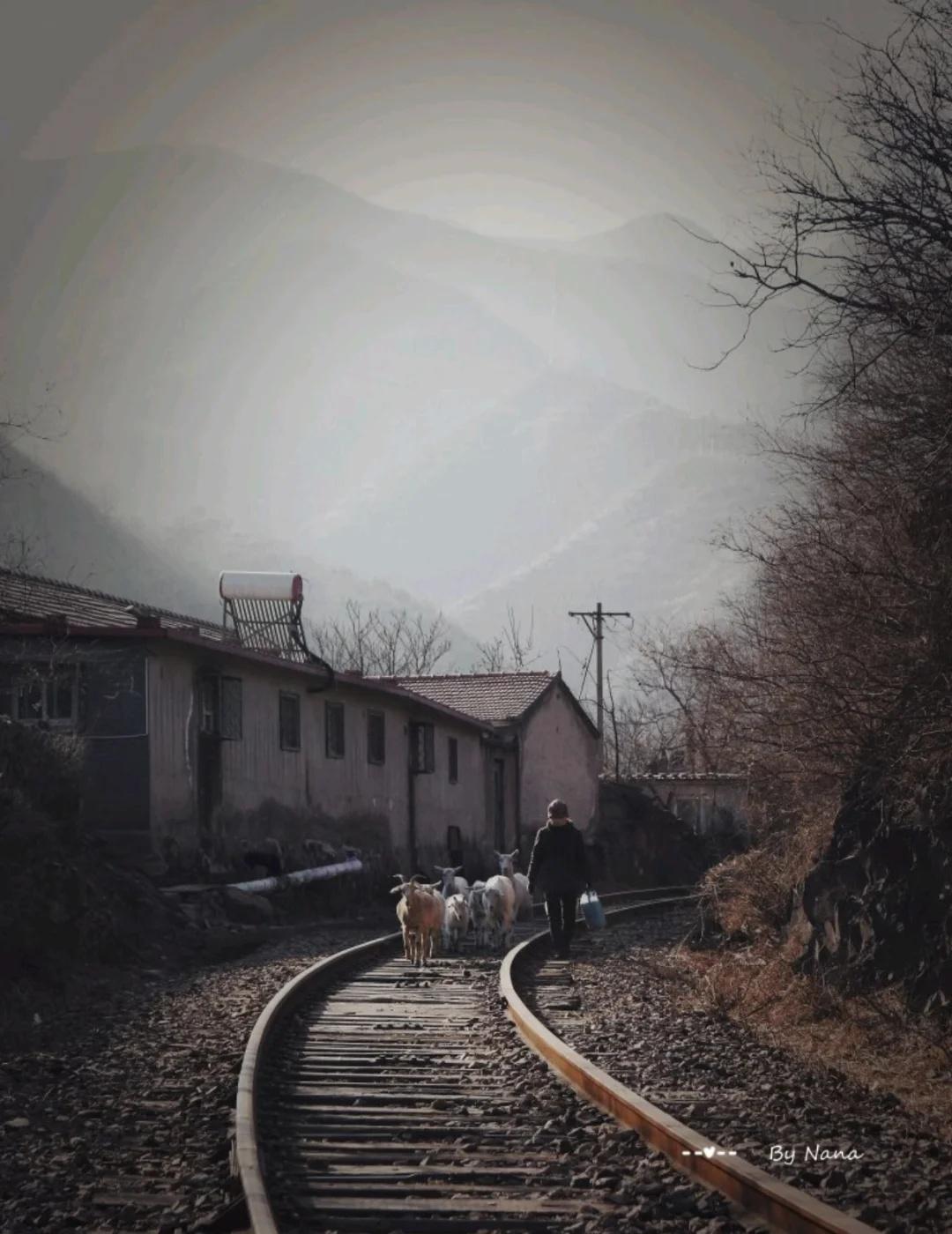 徒步京门铁路，感受北京版漫长的岁月
我好像很久没发徒步的内容了，如果我爸知道我去