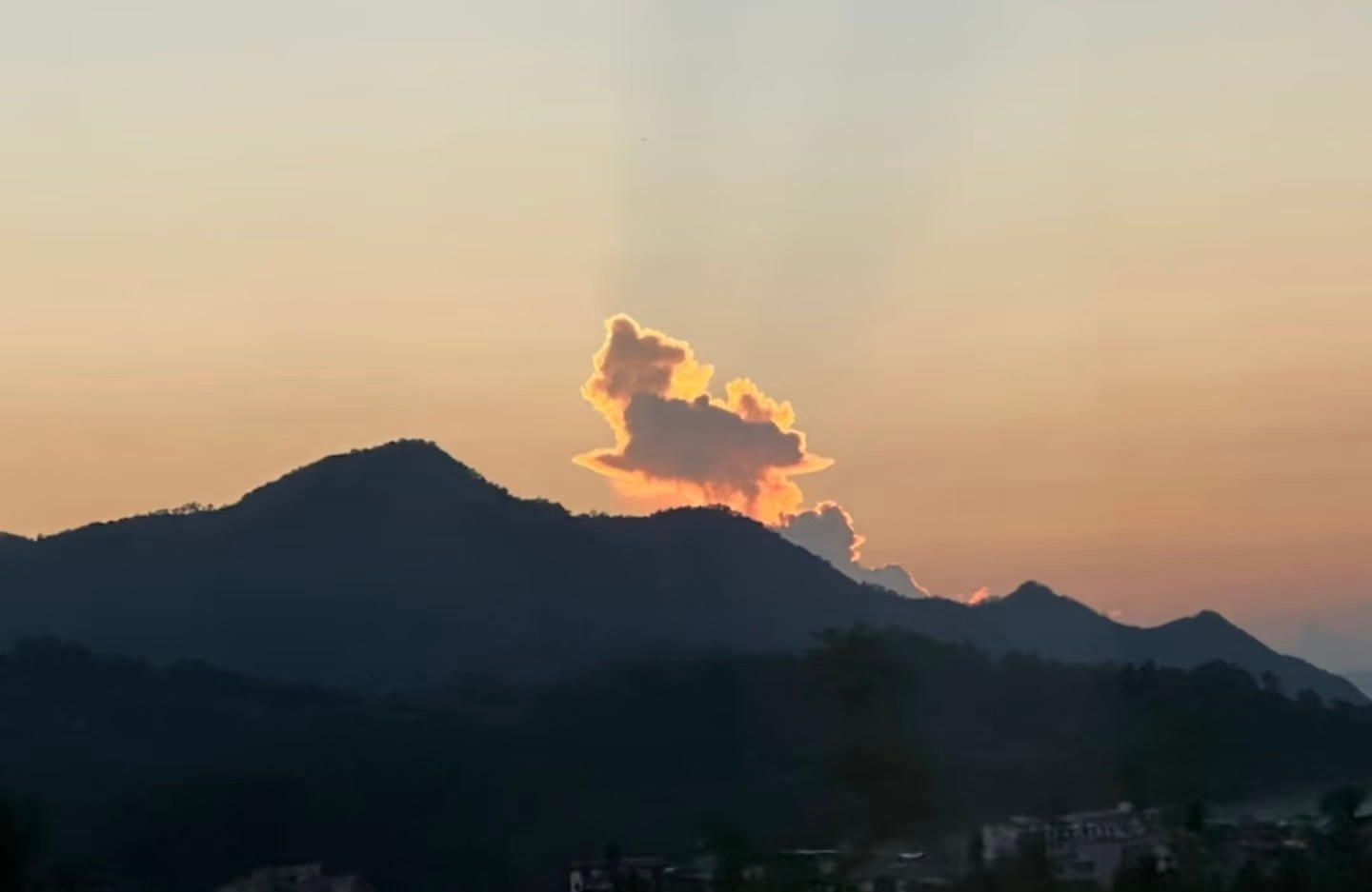 看，咪在爬山 ​​​