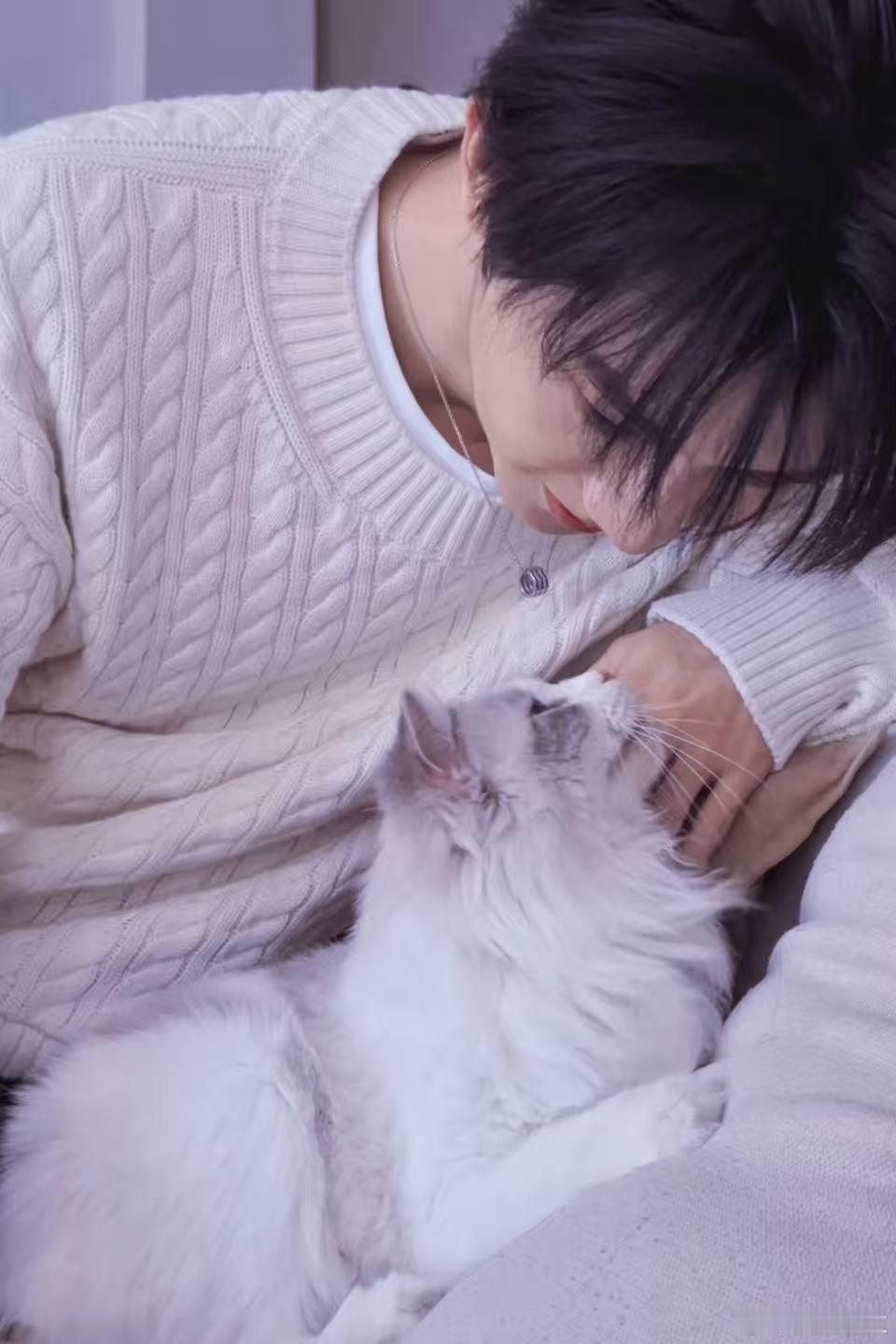 马嘉祺有一个流浪猫狗救助站 比起高调宣扬善行，他低调做事多年，从私下投喂到定点帮