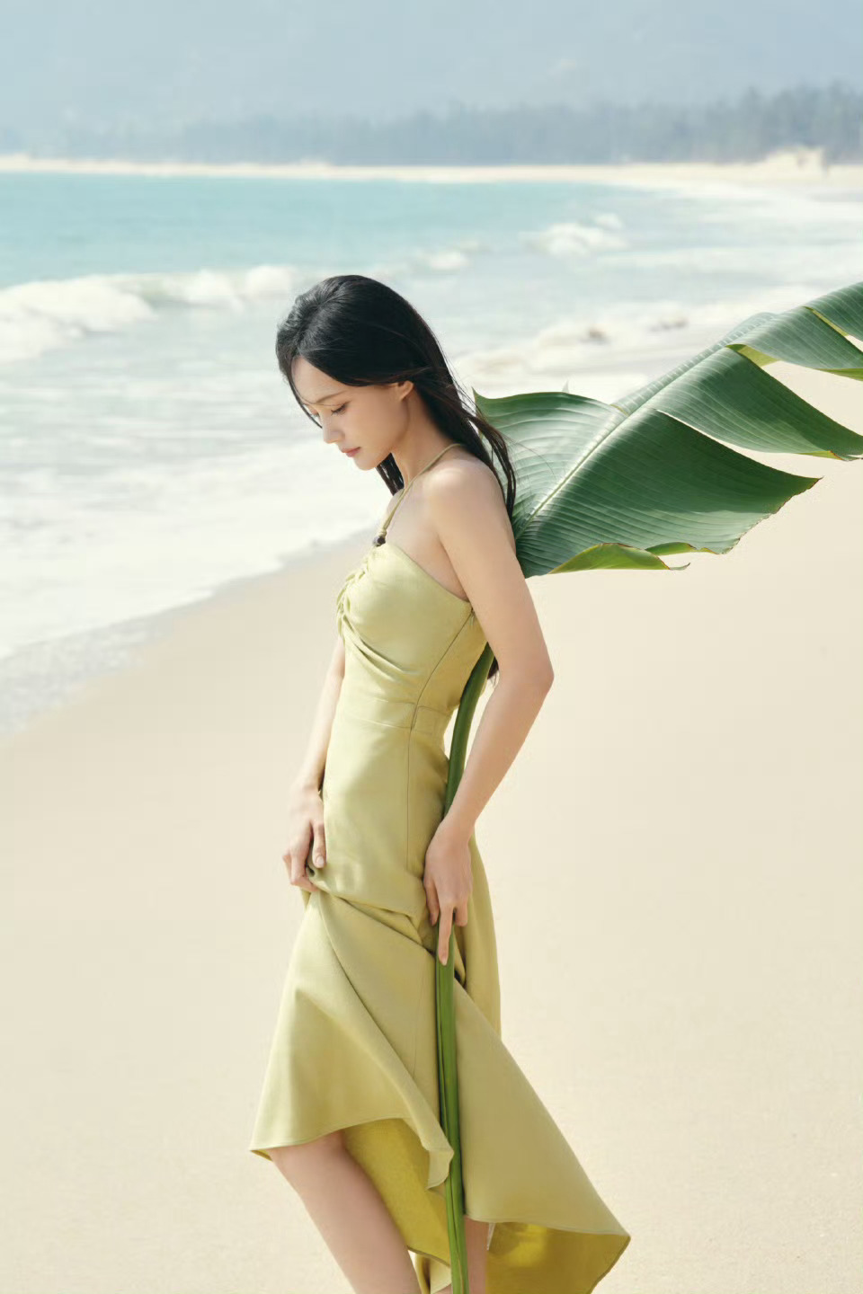 李一桐李一桐李一桐