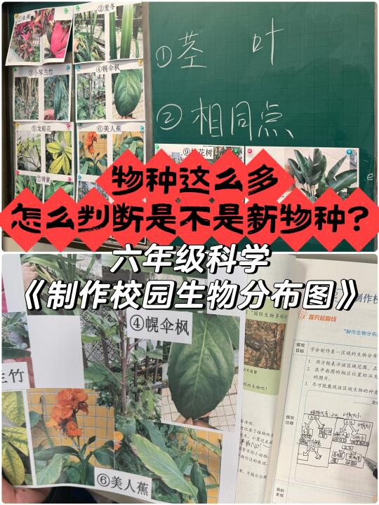 好难上的一课啊啊啊，感觉又被教材“绑架”了