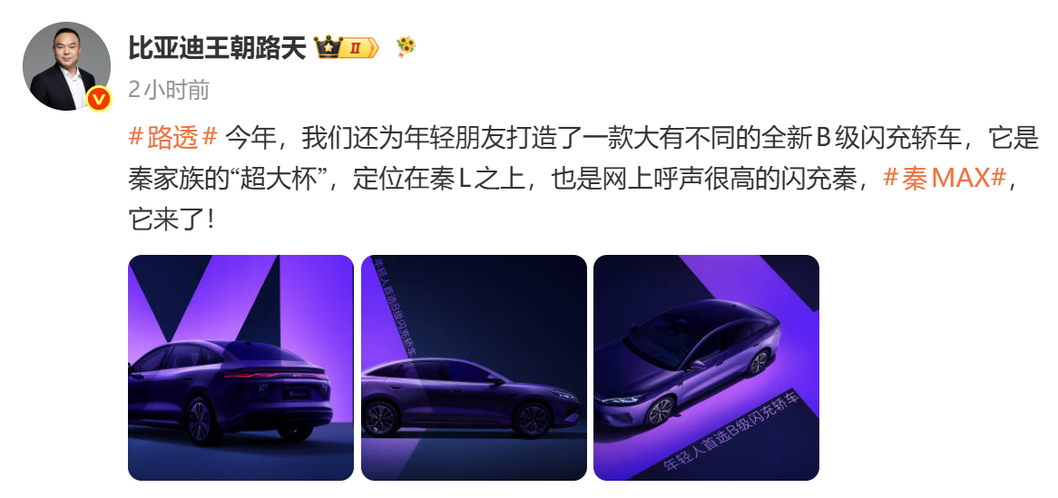 宣布，秦MAX今年内上市。这个版本定位比秦L高，秦L接下来要砍了，然后这个尺寸换