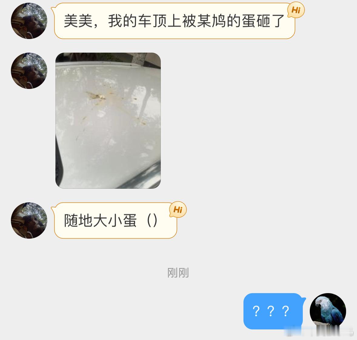 鸟粉投稿  ？？？鸠飞蛋打[淡淡的]论搭好好窝的重要性… 