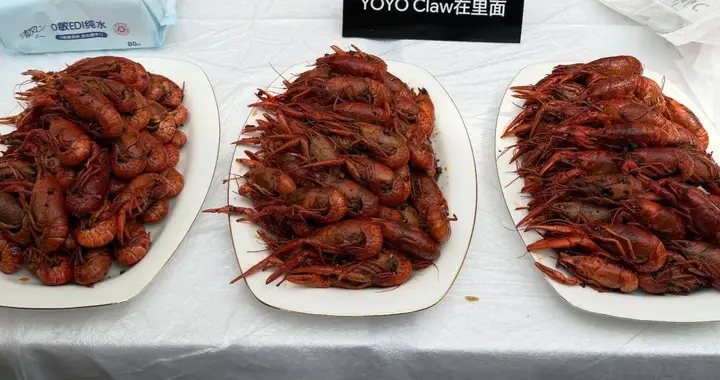千萬養蝦人的終極夢想！全球首個「養蝦本」帶你懶人養蝦開箱即食