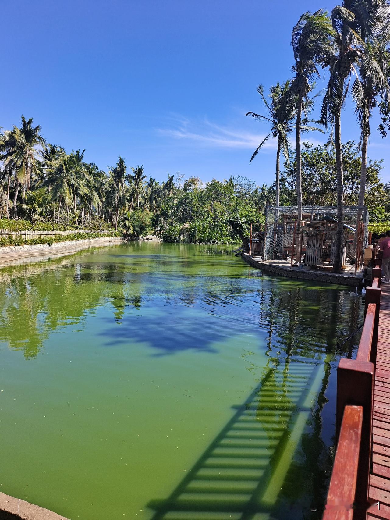 上联：绿水浮蛙叫
下联：青山现狮吼

终生坚持作品原创的人
图片来源于作者拍摄