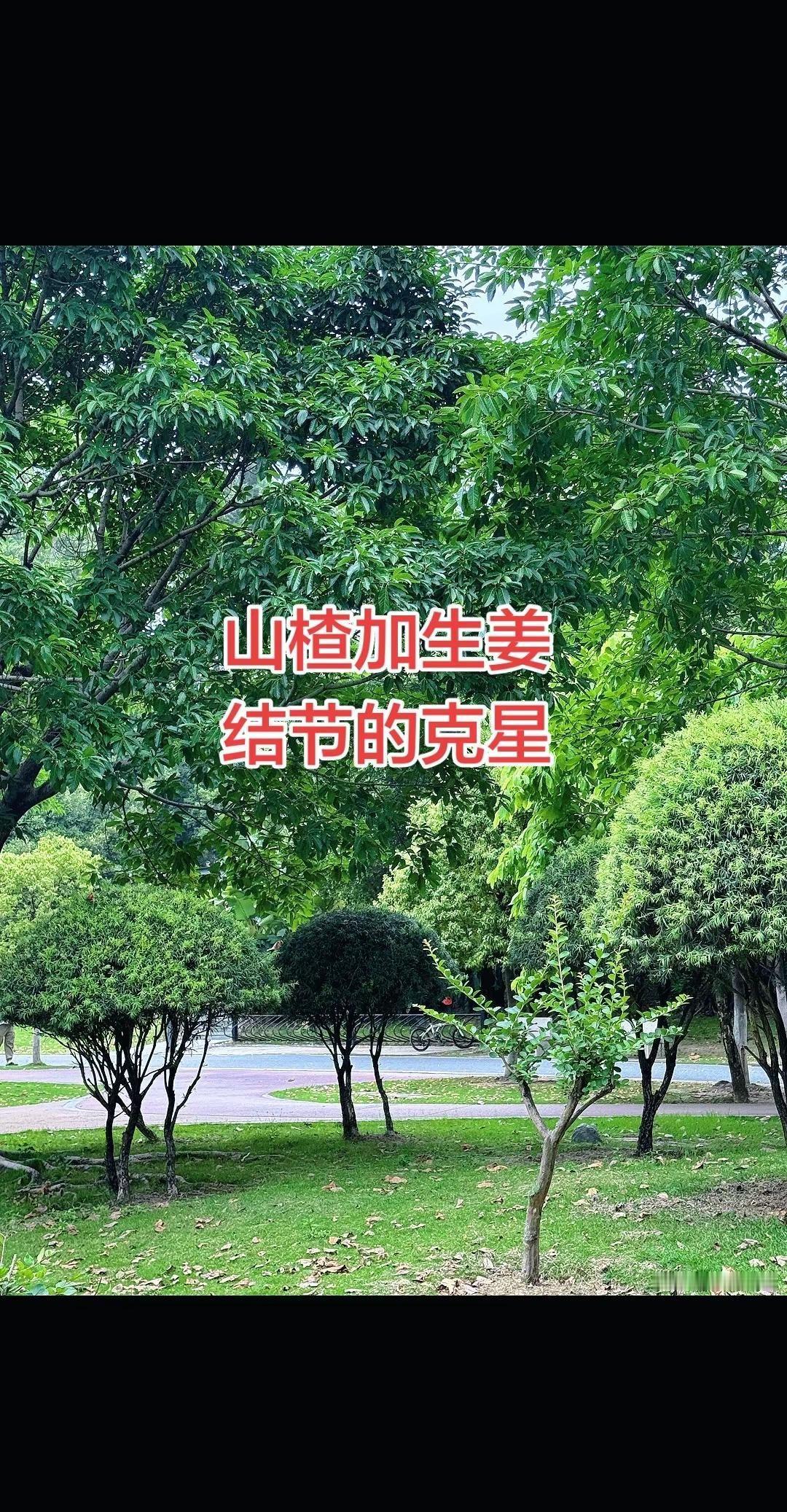 2026斯诺克世锦赛决赛，吴宜泽18:17双赛点绝杀肖恩.墨菲，夺得冠军！吴宜泽
