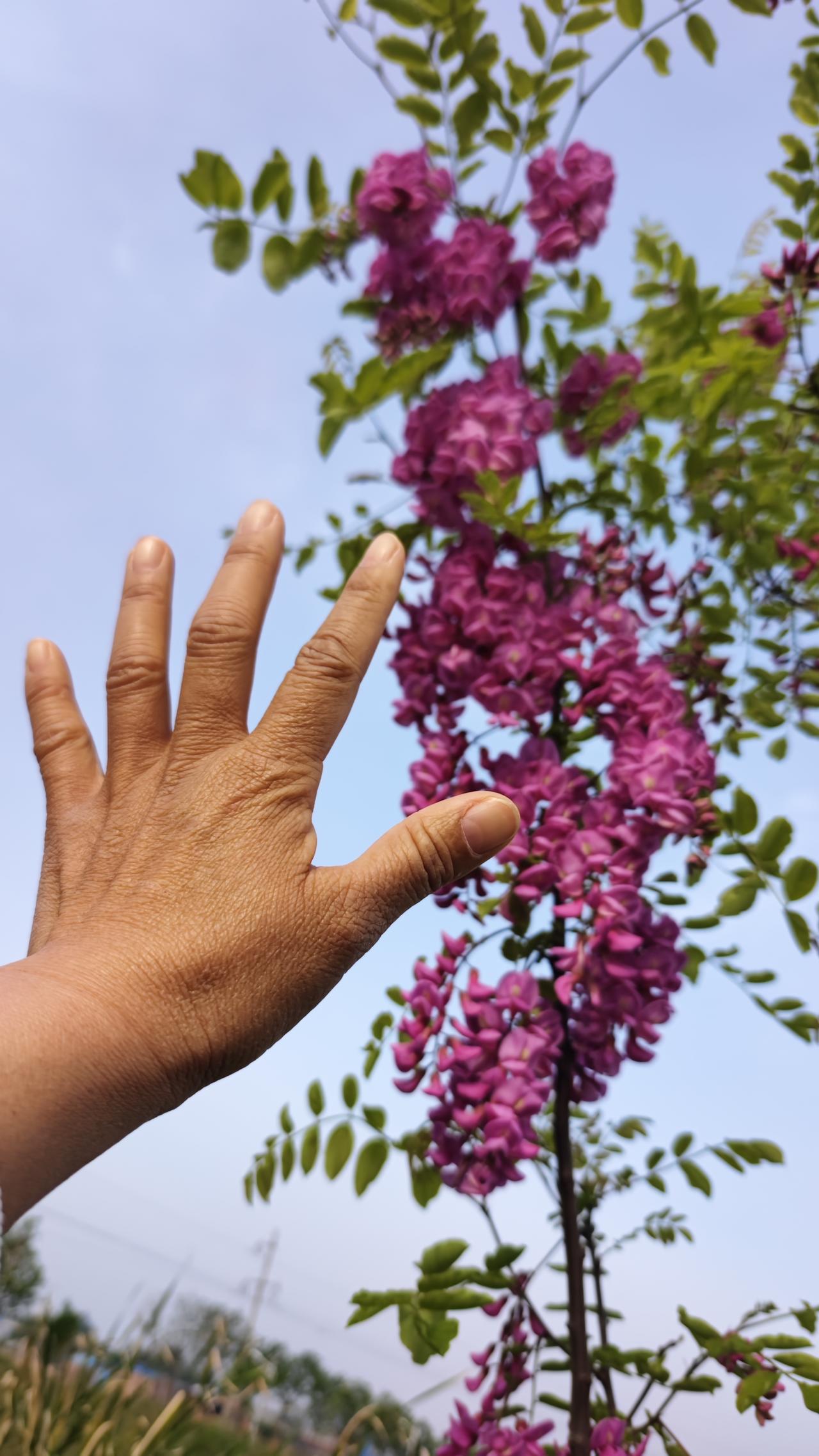 把手伸向蓝天，吸收天地的灵气，让自己满血复活。大自然总是最滋养的。