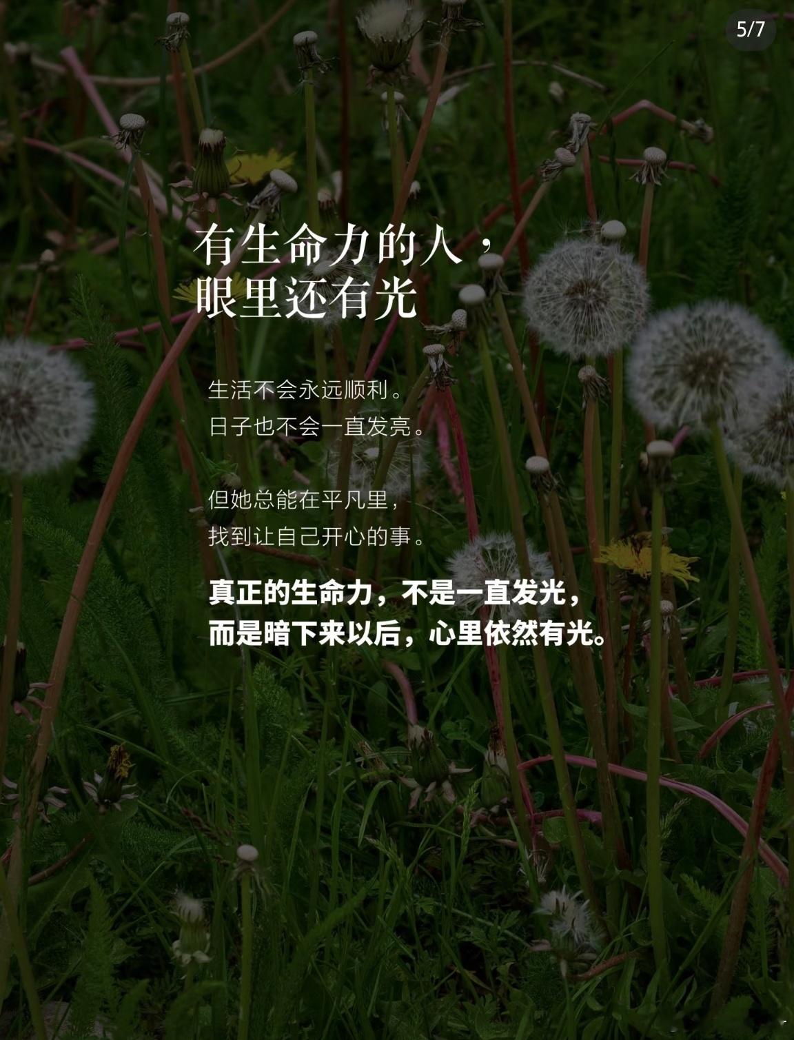 我本自具足按照这个逻辑完全可以不与人接触这样的话深山隐居倒是也能理解了 ​​​