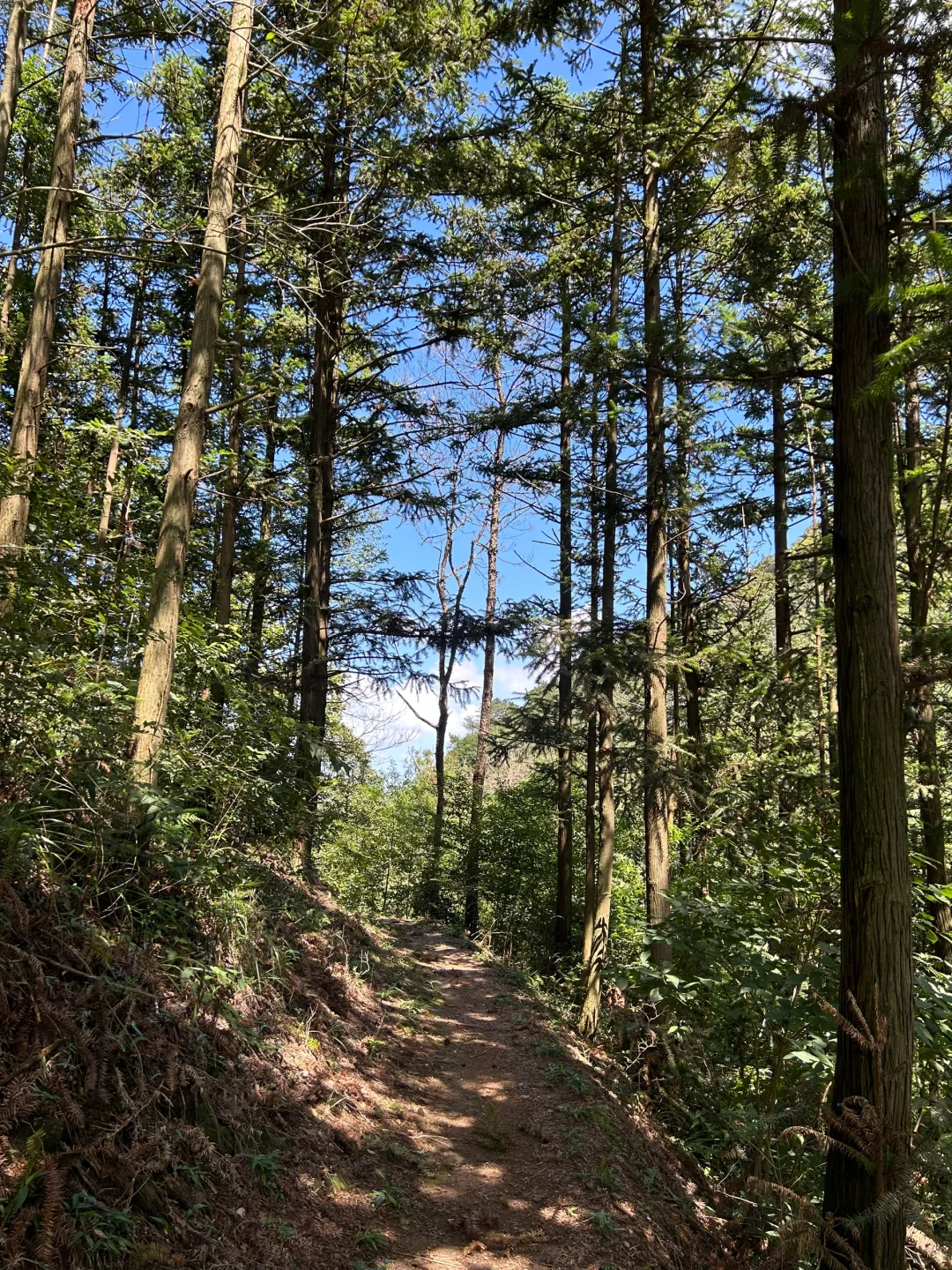 宁波爬山徒步｜古道溪行 踏青寻幽