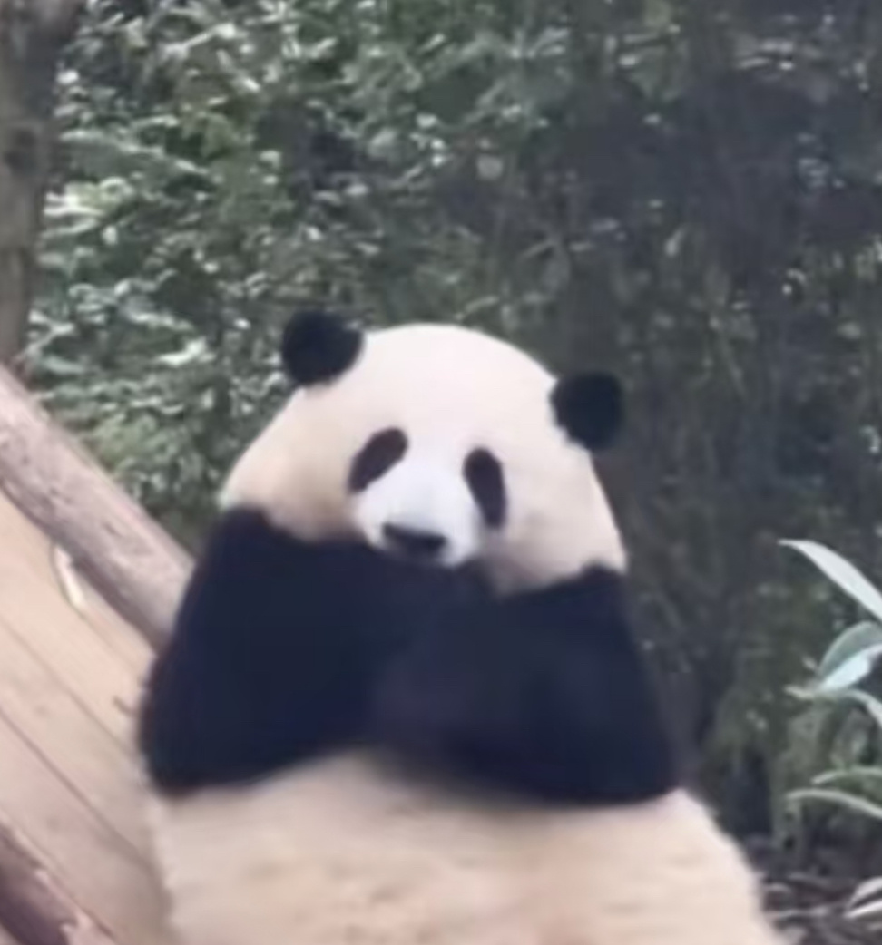 虽然我是学术白痴，但是好的愿望我还是要立下的！希望两年后可以顺顺利利毕业，如果可