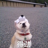 体能迷爱谈国内