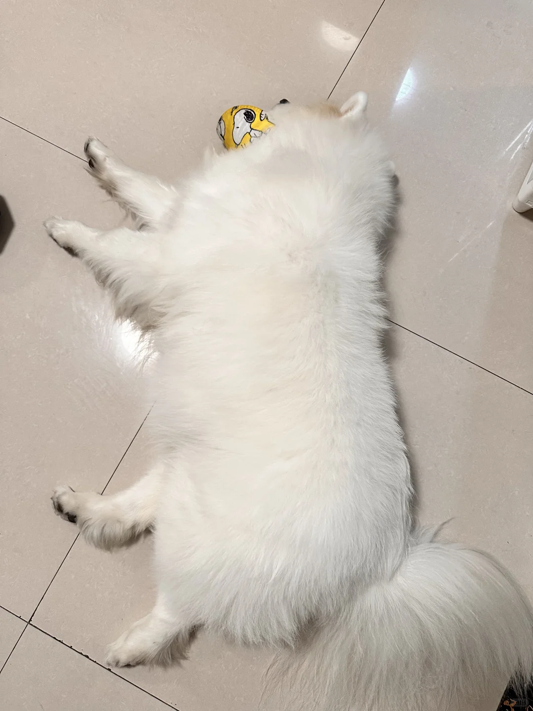 宝宝你的脚脚只有三厘米