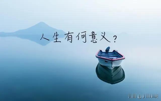 人生的意义不是苦思冥想的谜题，而是脚底沾泥的实践。

 有人用“标准答案”绑架自