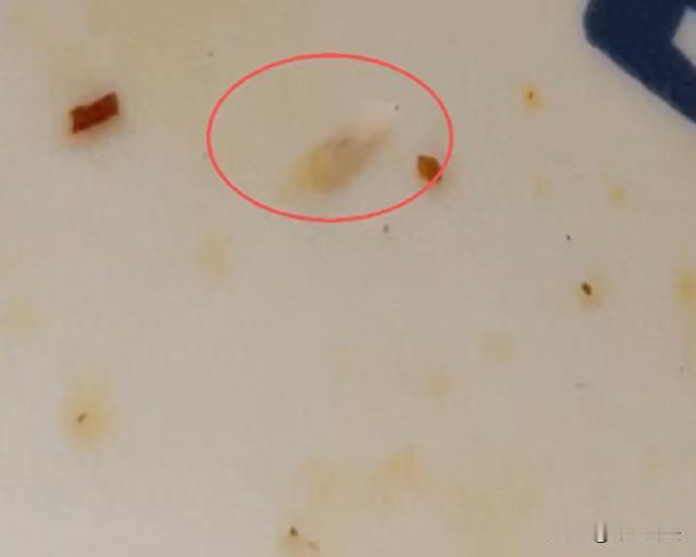 上海，女子去面馆里就餐，当香喷喷的面条端上来时，女子就开始享用。谁知道吃了一会后