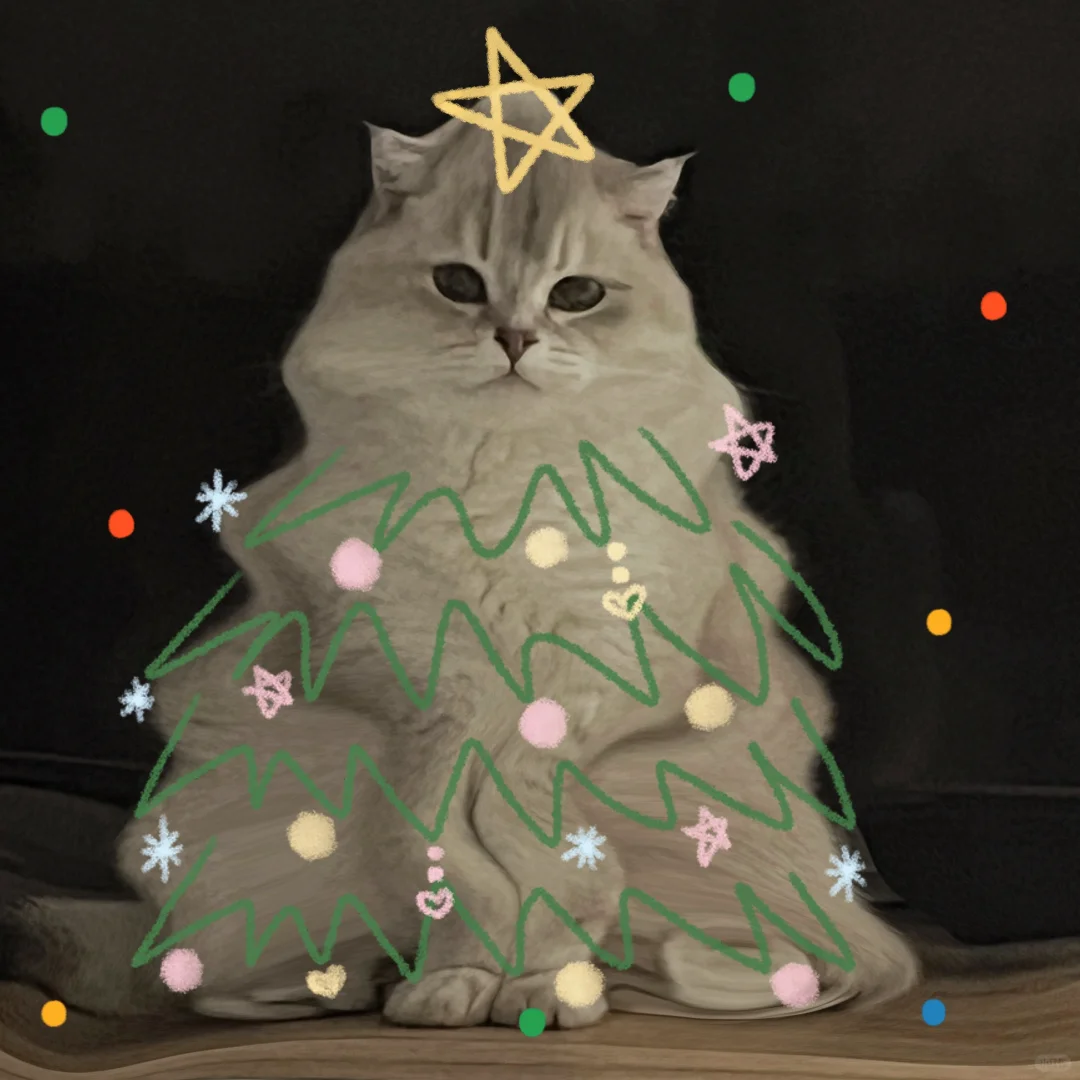 谁家还没圣诞树٩(ˊᗜˋ*)و🎄