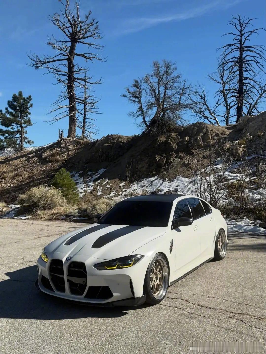 好漂亮的小马一辆，早上好～ 