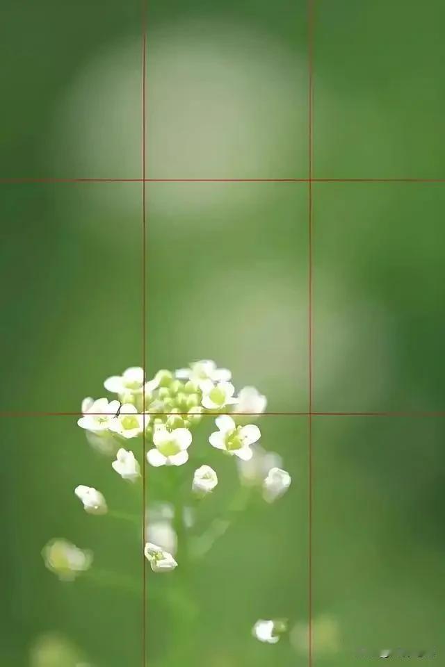 手机摄影也能出大片！6个构图用光技巧让你告别游客照

很多朋友觉得好照片必须靠贵