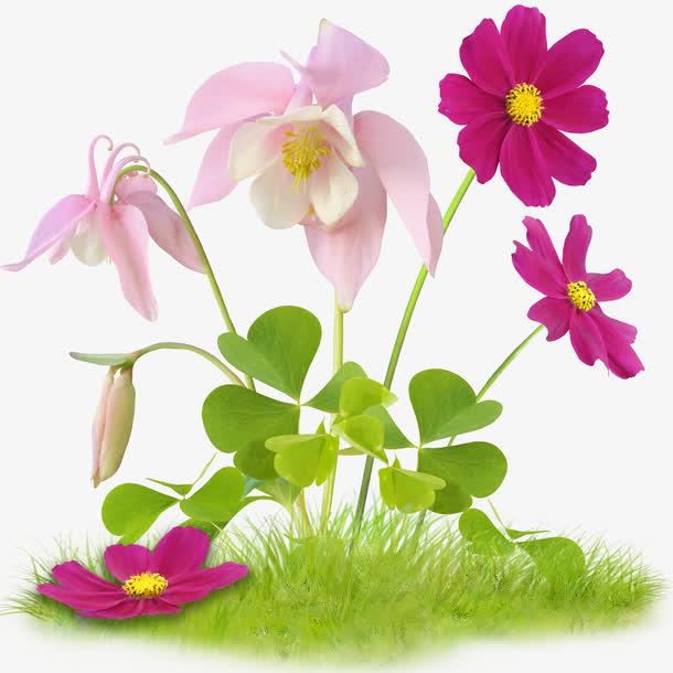 我们总在羡慕别人光鲜亮丽的生活，却忘了，最动人的从来不是精致到完美的人设，而是藏