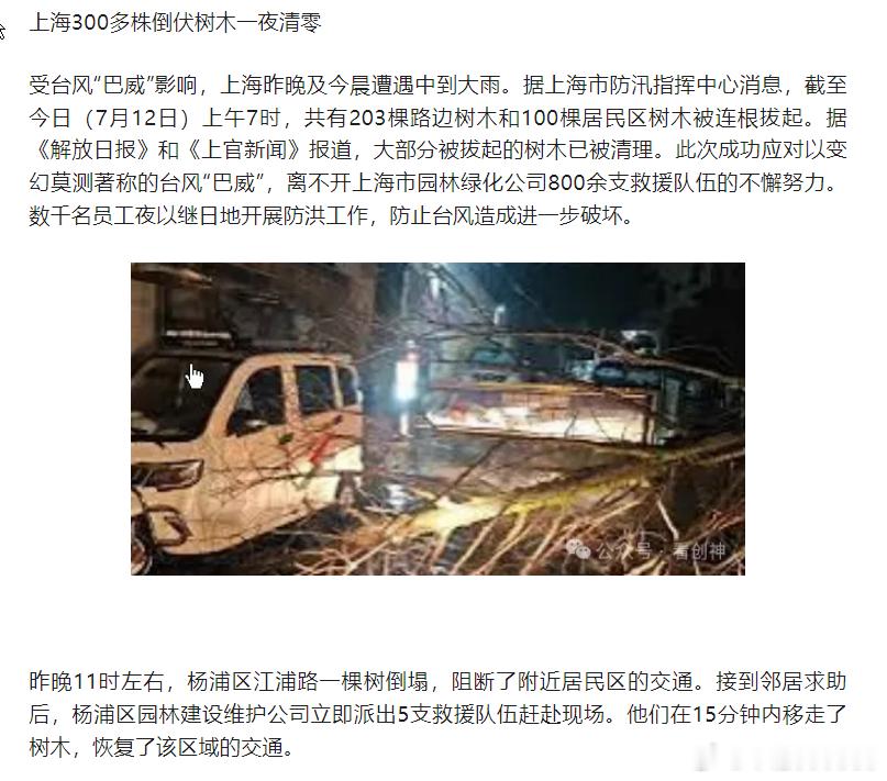 上海300多株倒伏树木一夜清零数千名员工夜以继日地开展防洪工作，防止台风造成进一