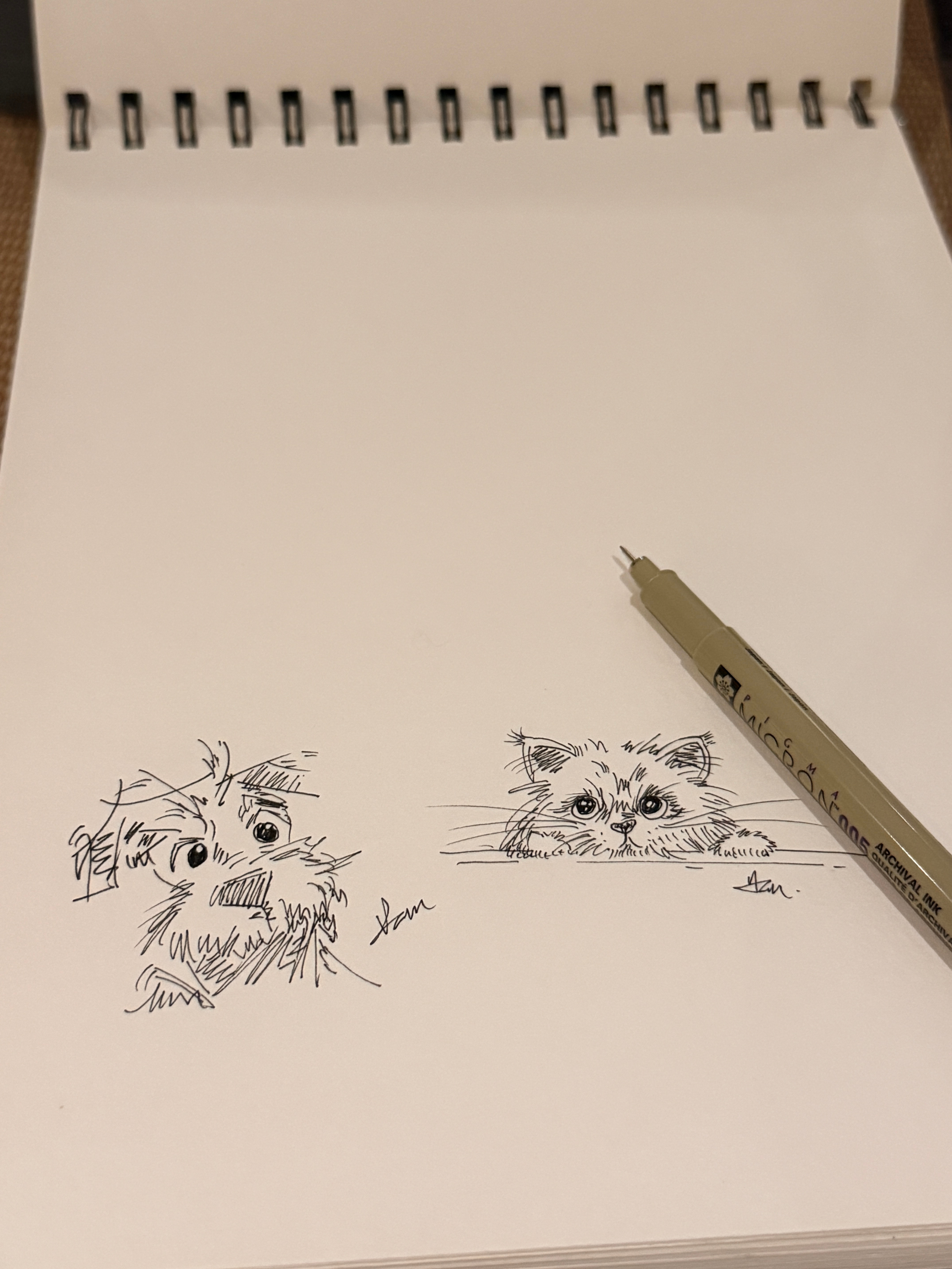 谁懂，爱上简笔画，真的超解压，没事画一个[喵喵] ​​​