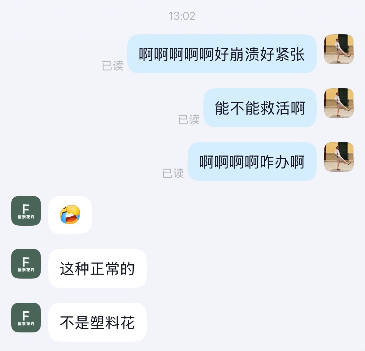 中午去阳台的角落给朋友拿寄存在我家的一个盒子，久违的去看了一下放在旁边的枫树，好