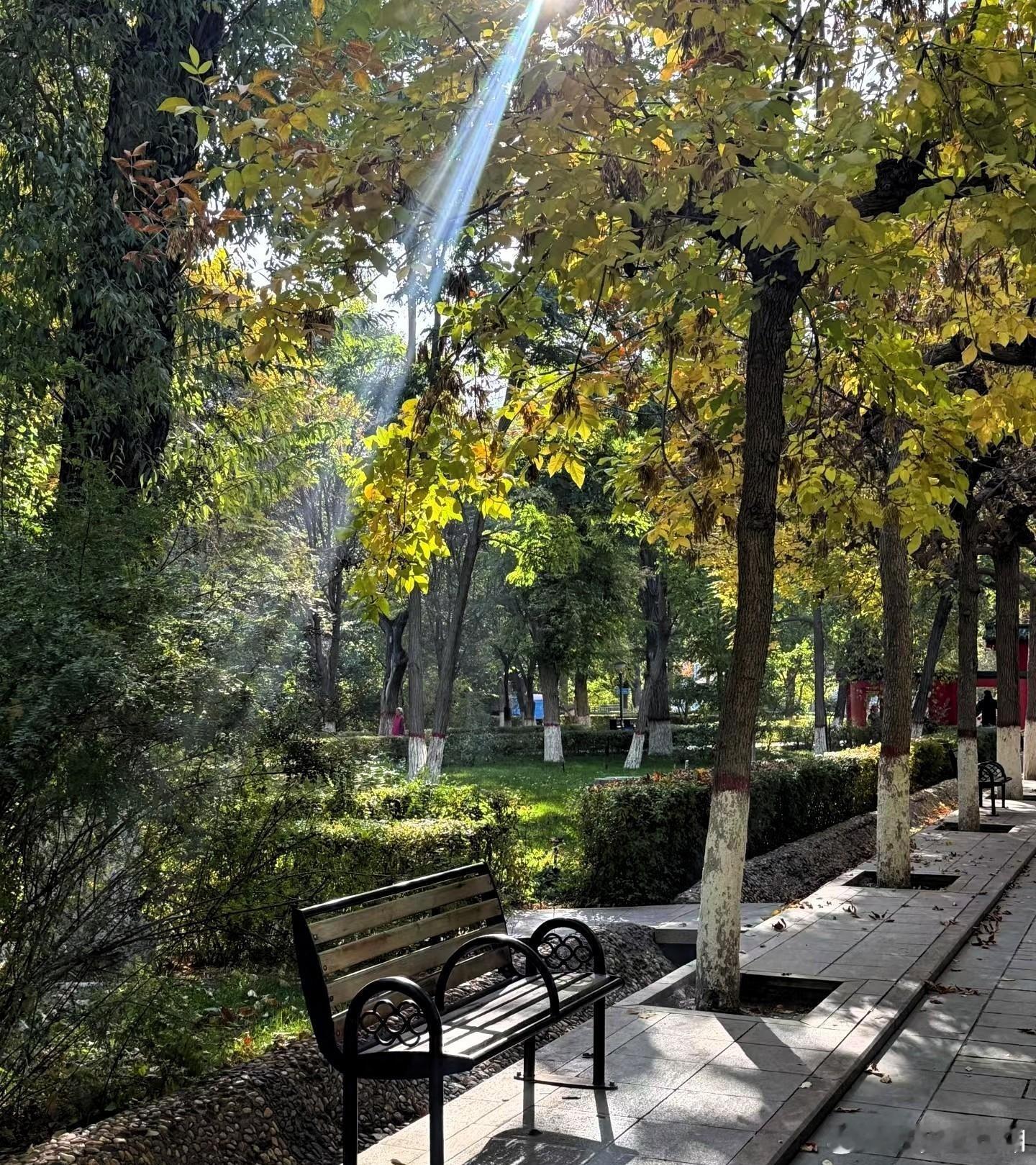 心里话        用热忱的眼睛，打捞日常里的星光。     