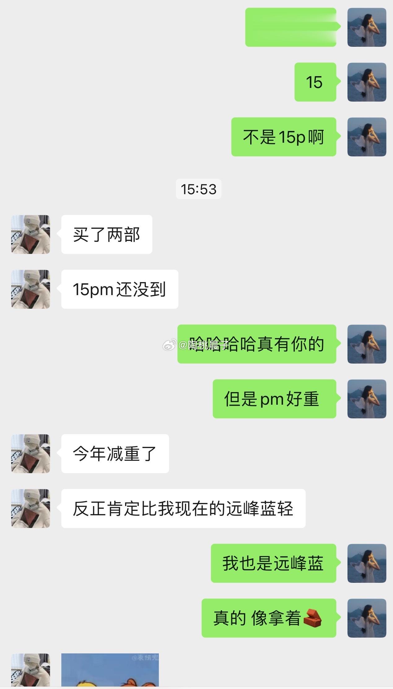 15pm收到货的uu评价下使用感觉！pro还是pro max 因为用13pm好几