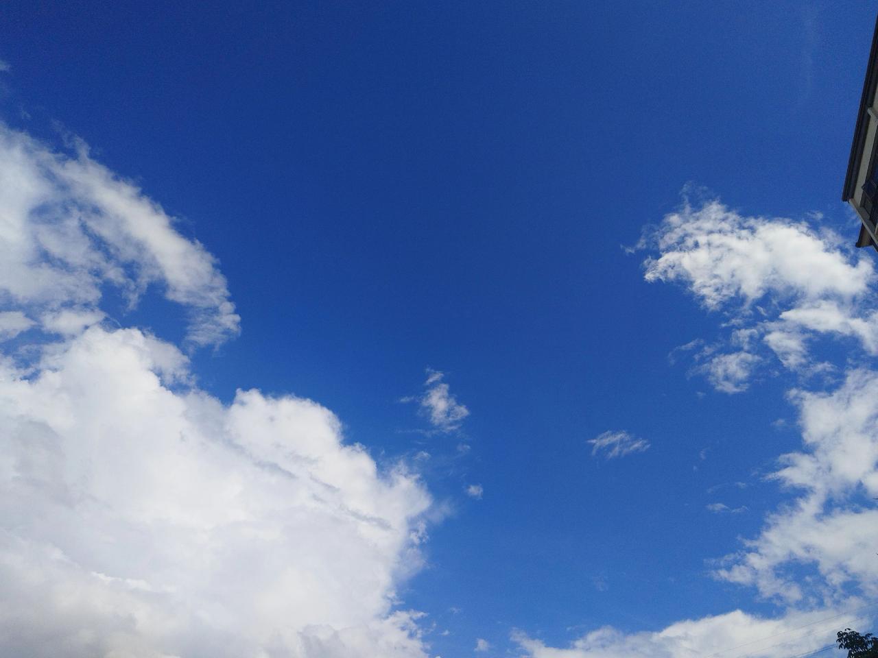 今天的天气真的好好啊～抬头就是干干净净的蓝天，远处的楼房在云朵底下显得特别清晰，