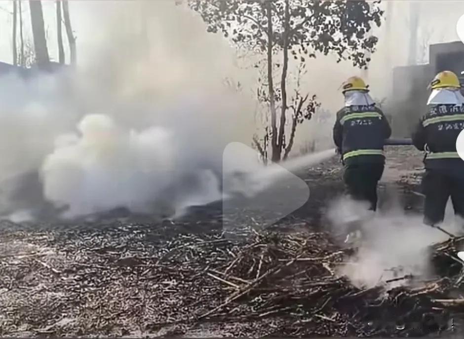 每条生命都值得尊重，主人在田里焚烧桔干不知道狗狗还在田中央，四面的火势很大，人又