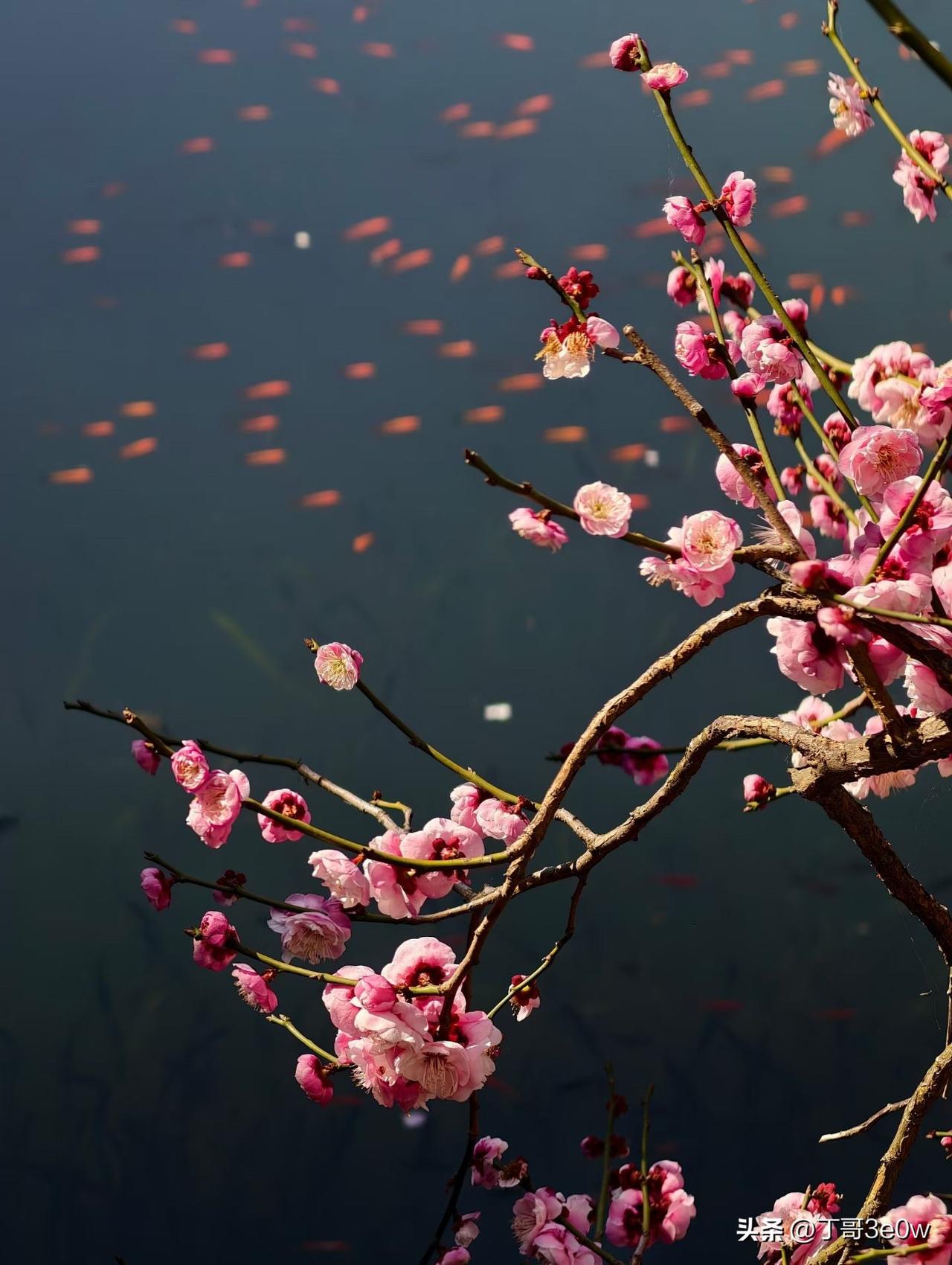 【昨日客流】
3月3日（周二）
武汉城市轨道交通线网客运量（含换乘）为406.6