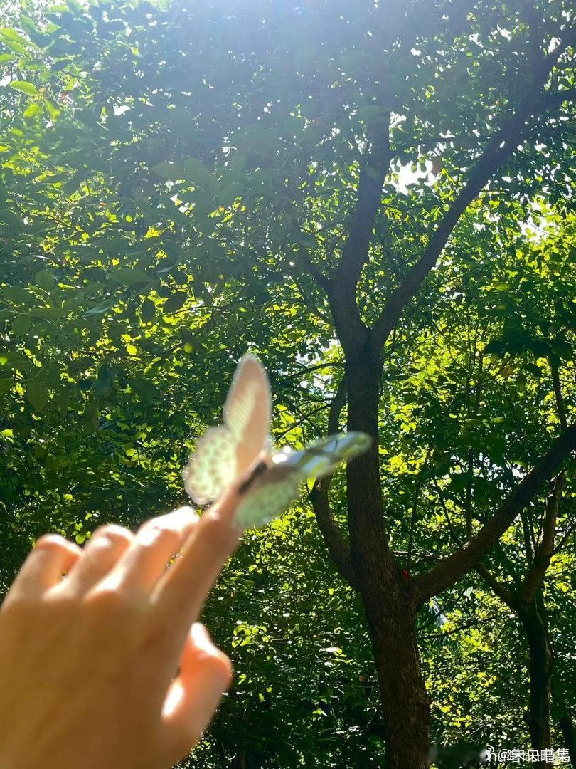 爱自己才是终生浪漫的开始。缺爱的人一生都在整合从童年时期就已形成的性格缺陷。 ​