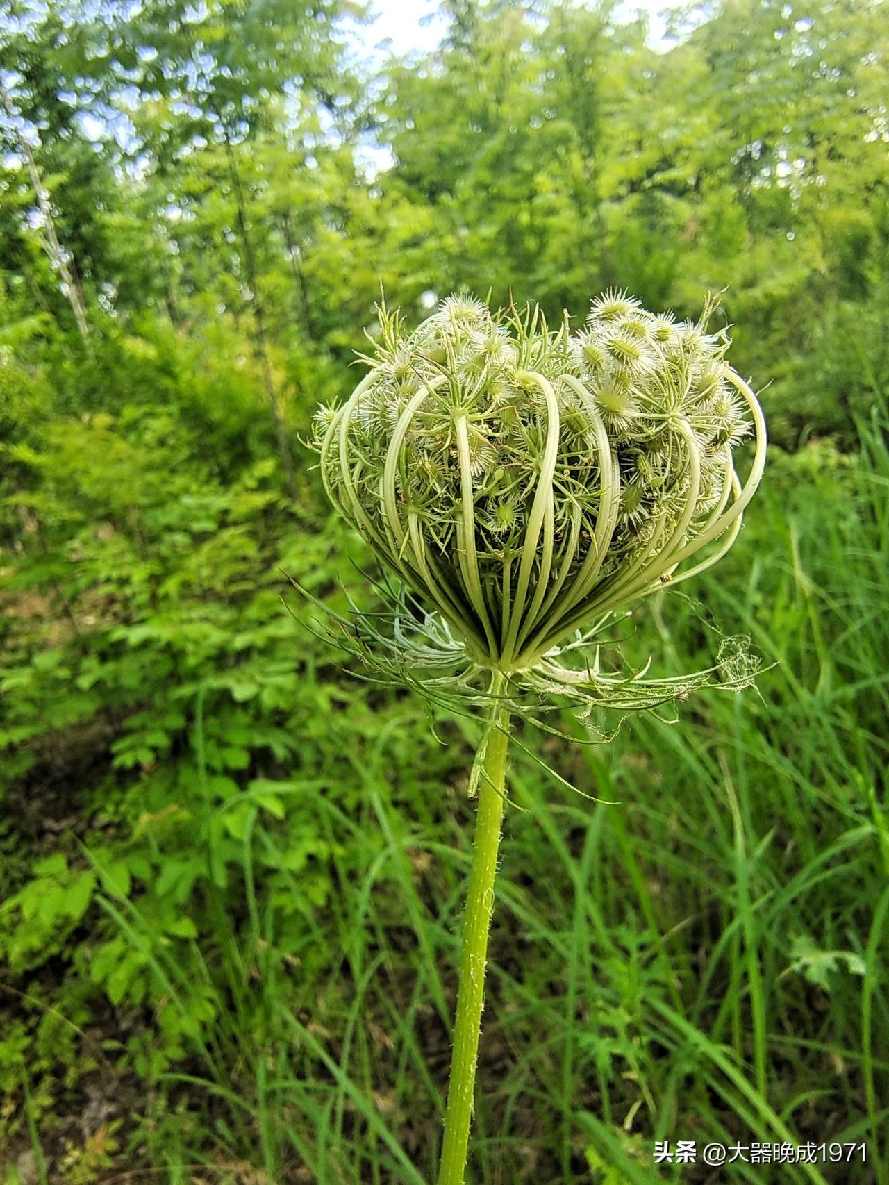 三十九岁可算老
不同年龄把心表
儿童眼里有些老
青年眼里称大嫂
中年眼里算正好