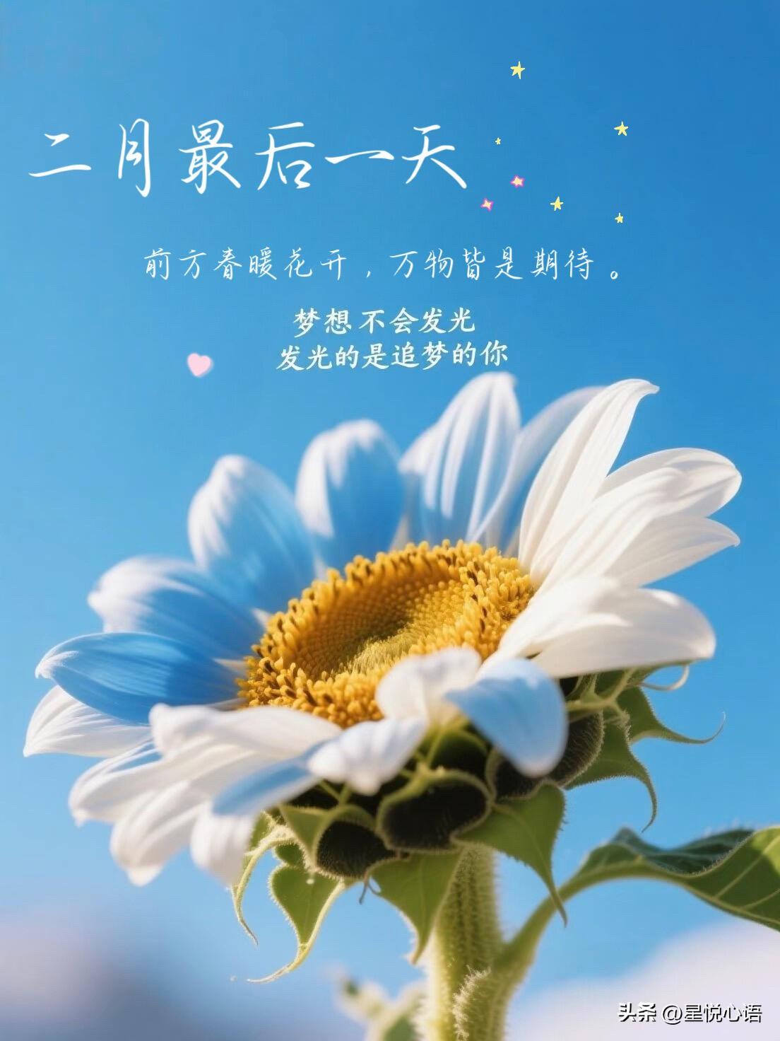 2026年二月的最后一天
跟这个月好好说再见吧
寒风慢慢退了
春天的味道越来越浓