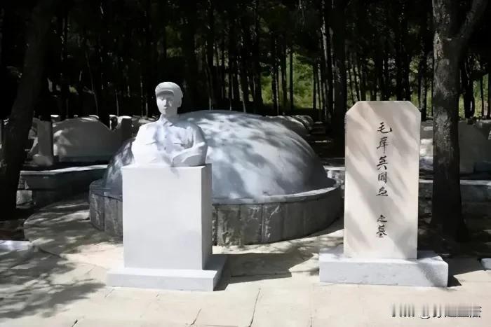 回望历史，答案其实早已经写得明明白白。
 
毛岸英8岁痛失母亲杨开慧，少年时期和