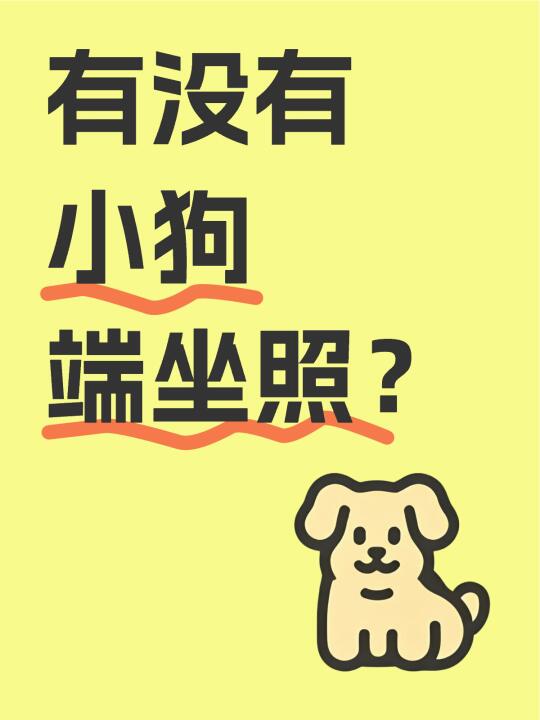 突击检查‼️快交出你相册里的小狗照‼️